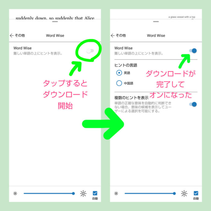 Word Wiseダウンロード完了画面